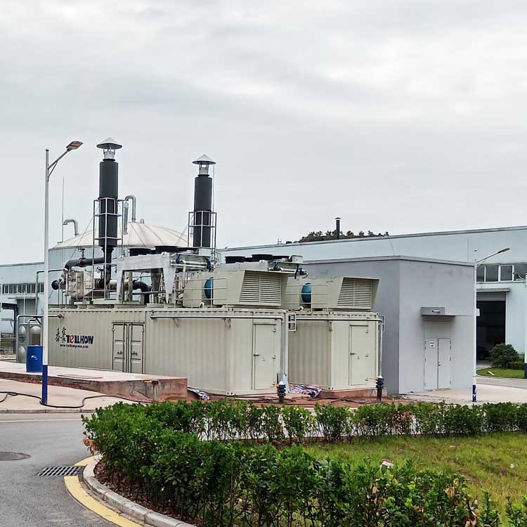 萬純餐廚垃圾沼氣機組脫硝設(shè)備在四川某電站圓滿通關(guān)